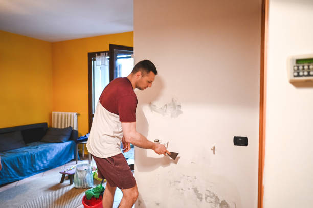 Best Mold Removal Process  in East Greenville, PA